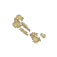 Bone Fragments