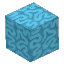 Cyan Coral Block