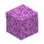 Violet Coral Block