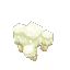 White Cap Mushroom