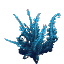 Bushy Cyan Fern
