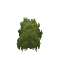 Dark Green Moss