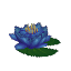 Blue Waterlily