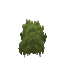 Dark Green Moss