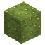 Prototype - Cactus Block 2